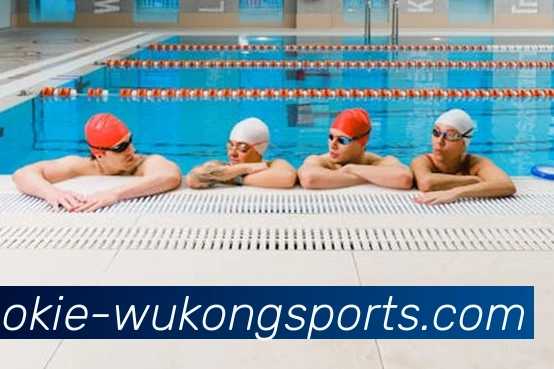 多媒体互动体验